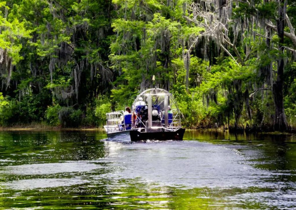 Taking Flight to Louisiana Adventures: Embracing the Bayou State’s Charms